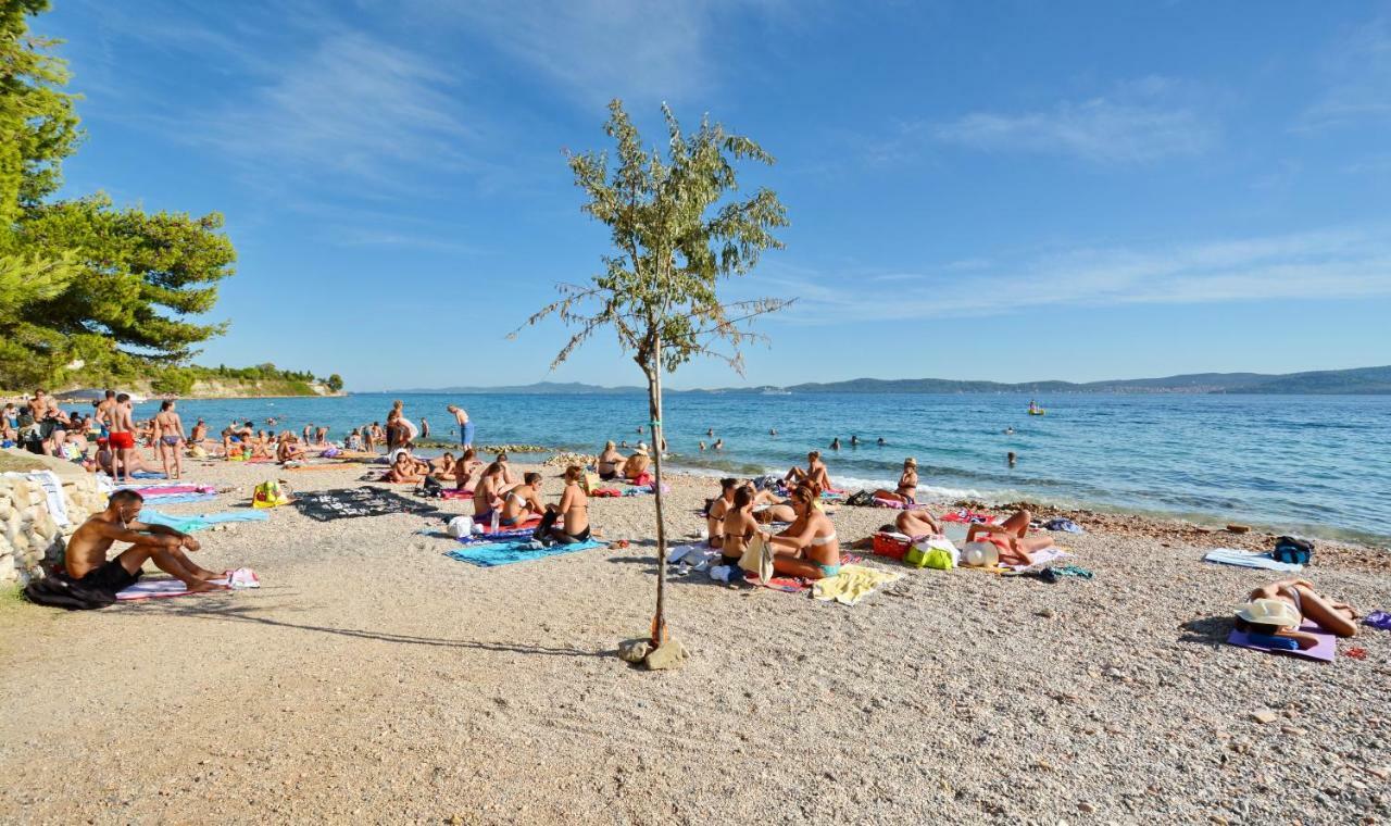 Olive Garden Zadar